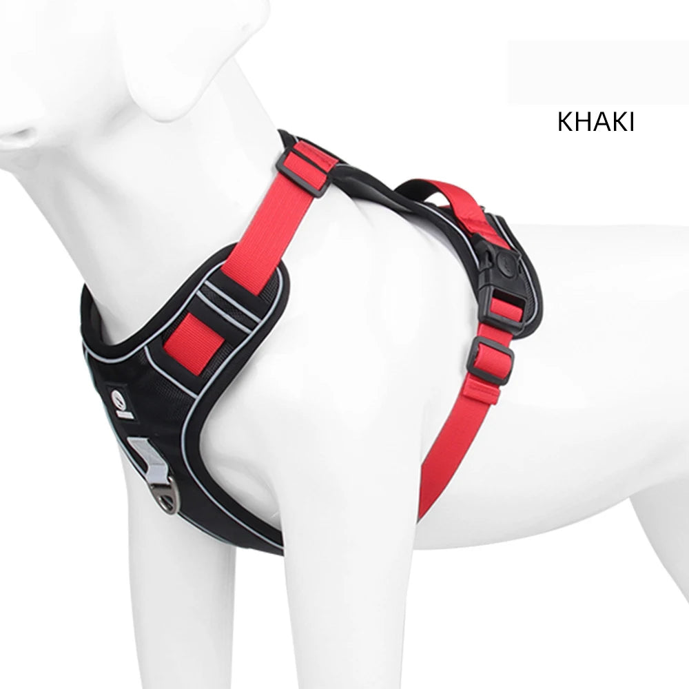 Reflective Harness