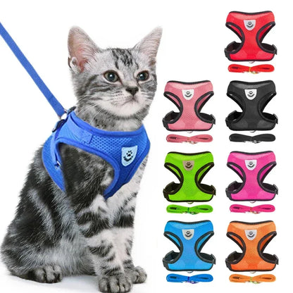 Cat Harness Vest