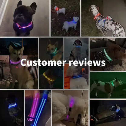 LED Glowing Dog Collar