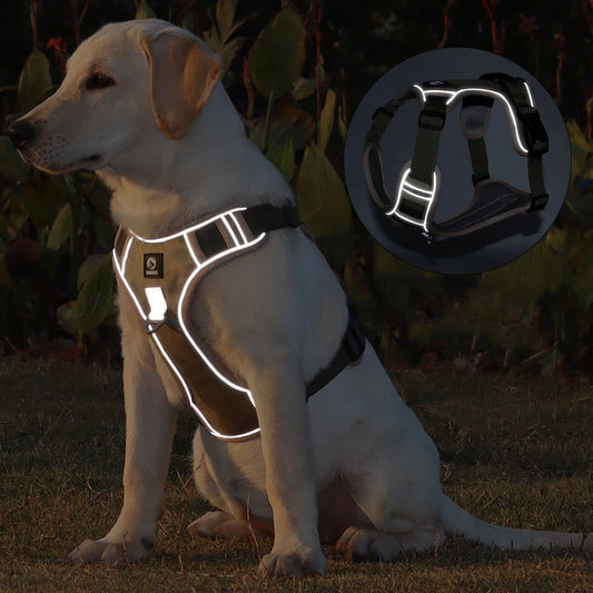 Reflective Harness