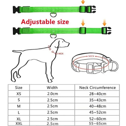 LED Glowing Dog Collar